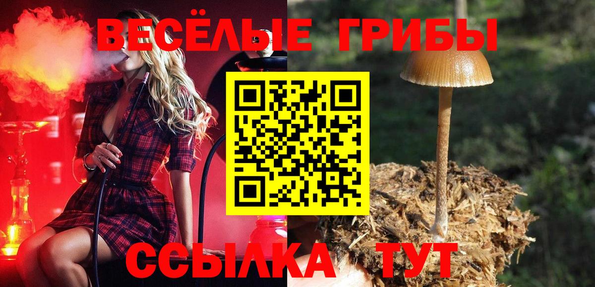 Галлюциногенные грибы Magic Shrooms  наркошоп  Сочи  Вход с VPN 